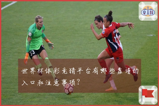 世界杯体彩竞猜平台有哪些靠谱的入口和注意事项？