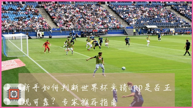 新手如何判断世界杯竞猜app是否正规可靠？专家推荐指南