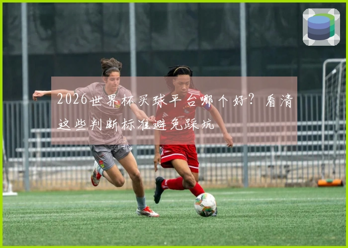 2026世界杯买球平台哪个好？看清这些判断标准避免踩坑
