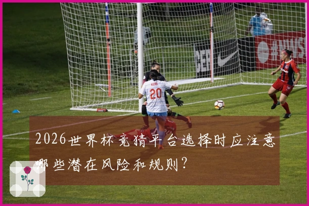 2026世界杯竞猜平台选择时应注意哪些潜在风险和规则？