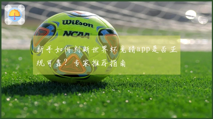 新手如何判断世界杯竞猜app是否正规可靠？专家推荐指南